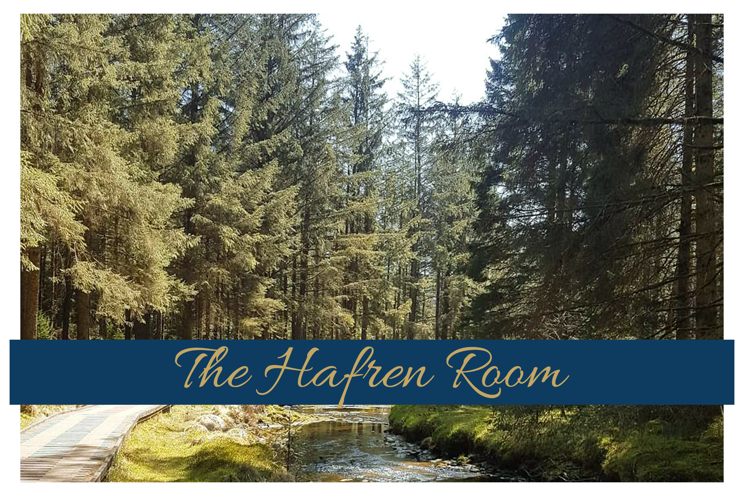 The Hafren Room 