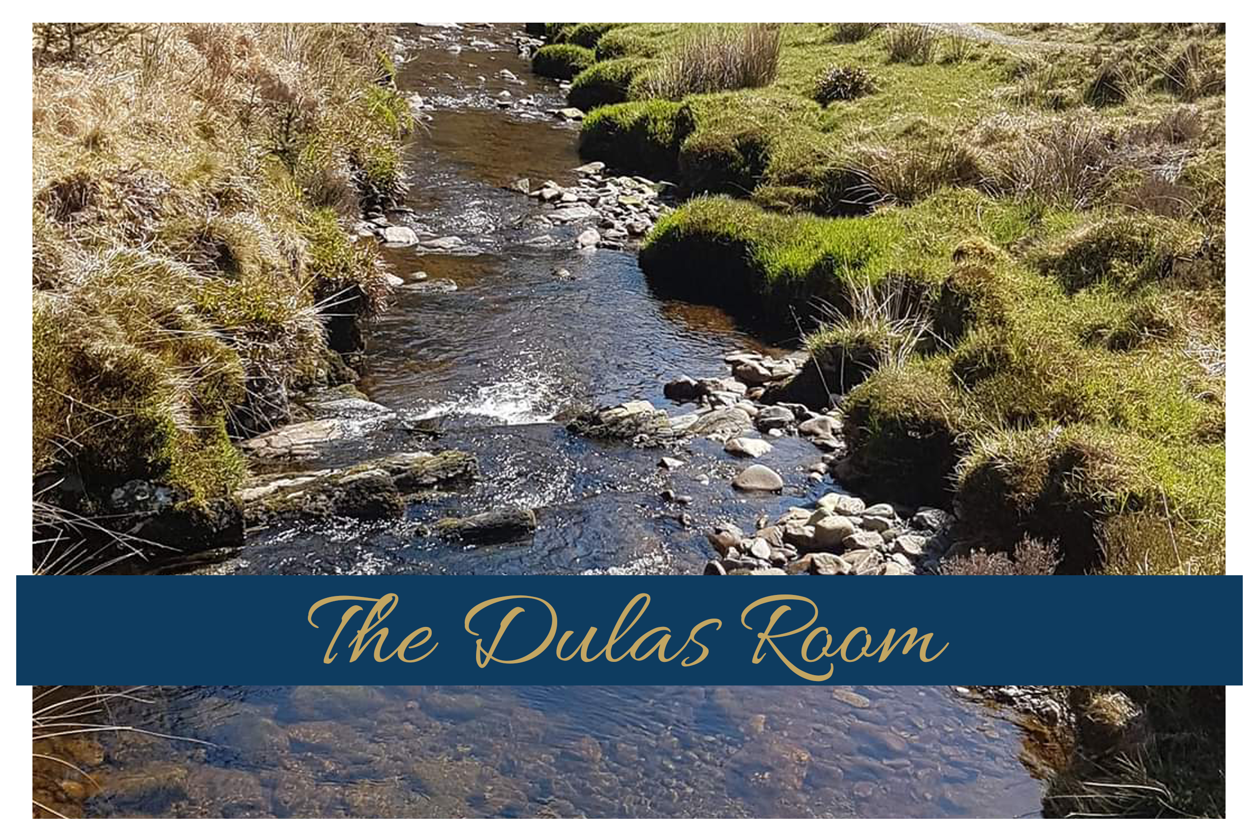 The Dulas Room