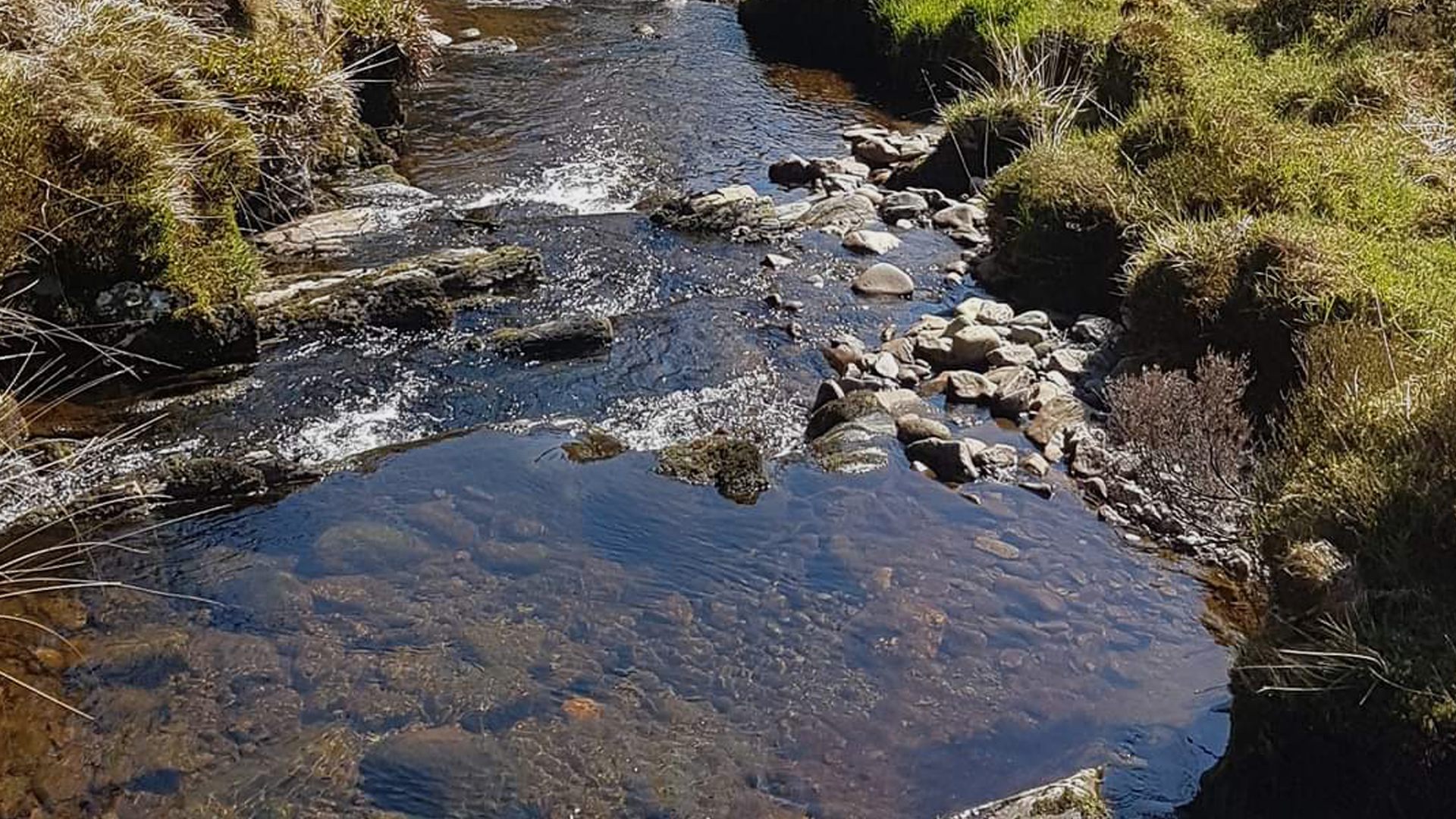 Afon Dulas in Powys